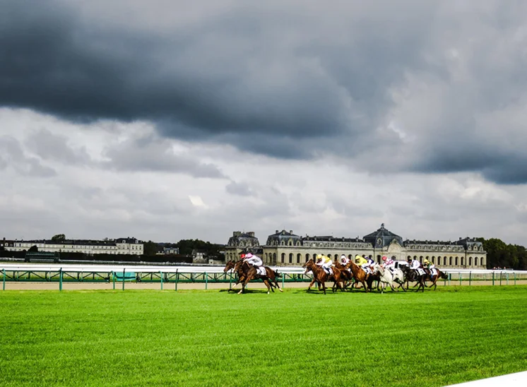 RHS Hampton Court Palace Garden Festival Chauffeur — London Wheels Limo