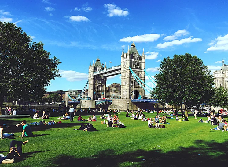 Why Families Choose Chauffeurs for St David's Day Outings — London Wheels Limo