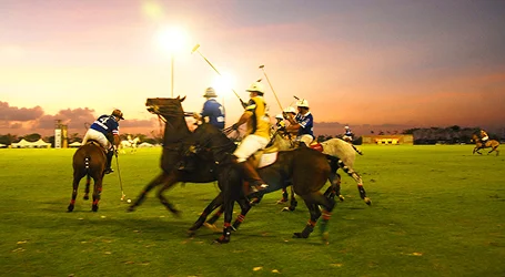 Royal Ascot Chauffeur