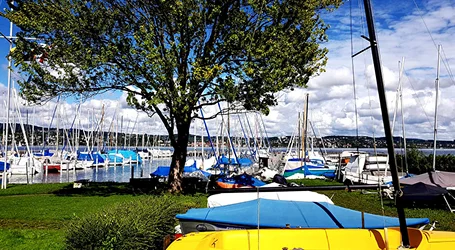 Southampton Boat Show Chauffeur