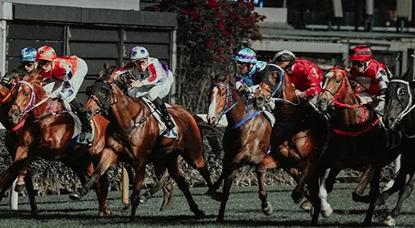 Grand National Chauffeur