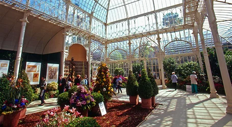 London Flower Shows Chauffeur
