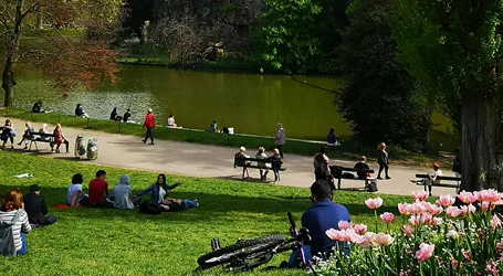 Wilderness Festival Chauffeur