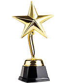 Professional Chauffeur Service London